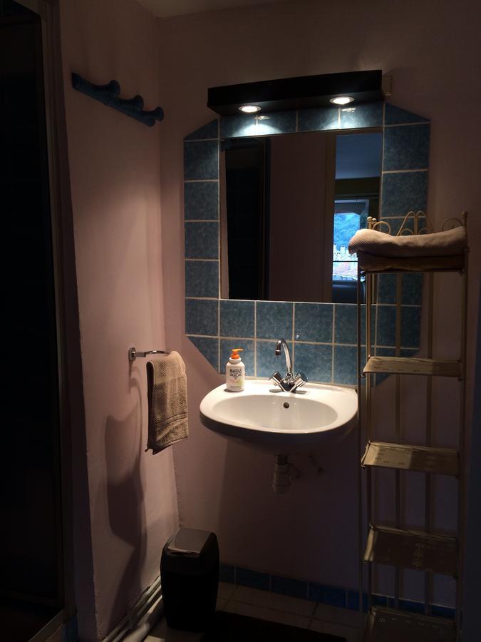 Castillon-en-Couserans Au Detour Du Larrech B&B 외부 사진